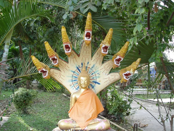 Buddha Védi Naga Kígyó Laos — Stock Fotó