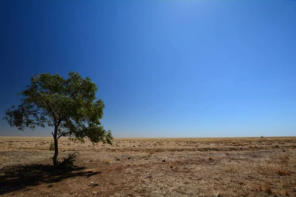 Savana Território Norte Longo Rodovia Tablelands — Fotografia de Stock