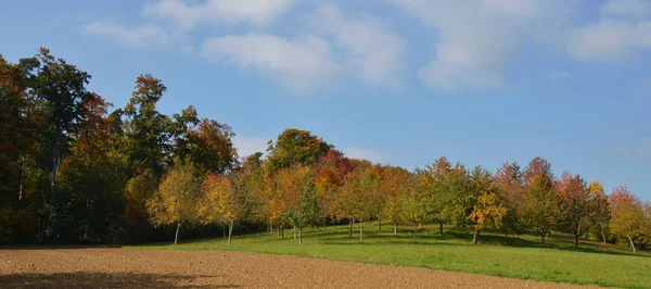 Vue Pittoresque Sur Magnifique Paysage Automne — Photo