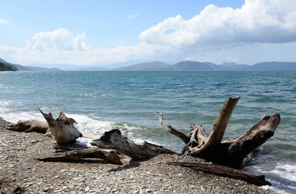 Driftwood Coast Kusadasi — Stock Photo, Image