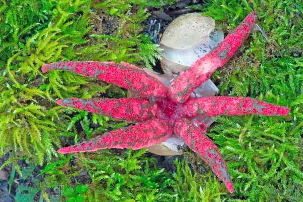 Carta Parati Tema Marino Scatto Luce Del Giorno — Foto Stock