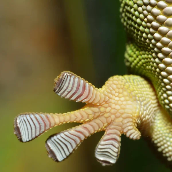 Carta Parati Tema Marino Scatto Luce Del Giorno — Foto Stock