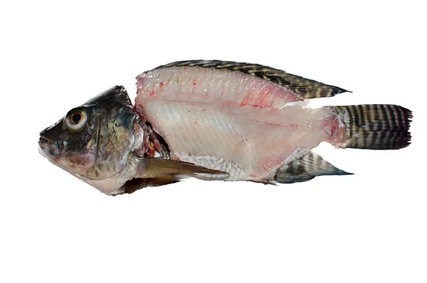 Hueso Pescado Aislado Blanco — Foto de Stock