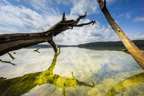 Soluppgång Dimman Och Spegling Moln Sjön Stubbe Grunt Vatten Och — Stockfoto