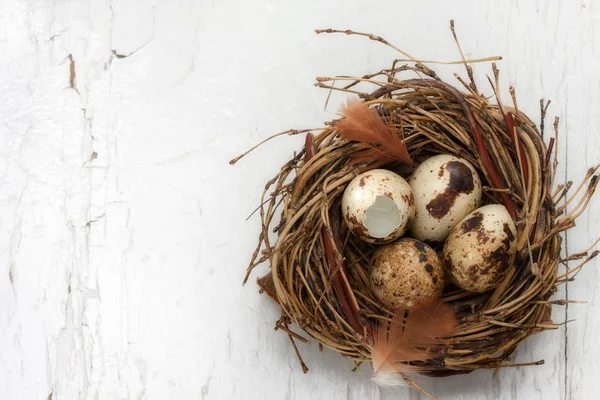 Osternest Mit Eiern — Stockfoto