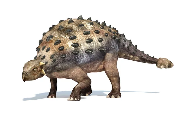 Photorealistic Rendering Ankylosaurus Sobre Fondo Blanco Con Sombra Recorte Incluido — Foto de Stock