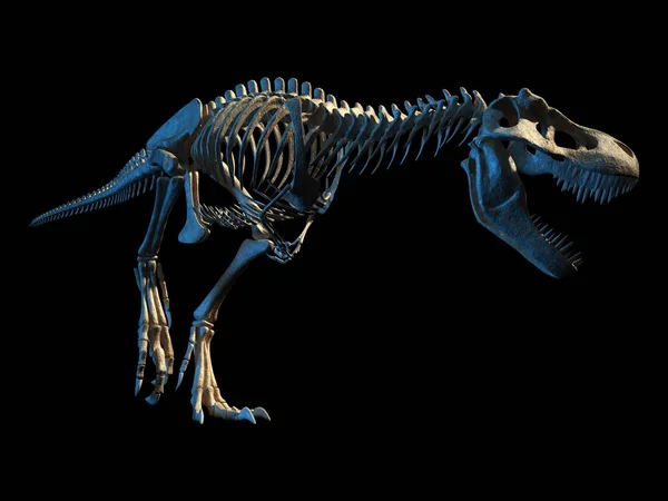 Rex Dinozaur Fotorealistyczny Naukowo Poprawny Pełny Szkielet Dynamicznej Pozie Punkt — Zdjęcie stockowe