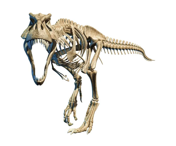 Rex Photo Realistic Scientifically Correct Full Skeleton Dynamic Pose Black — Stockfoto