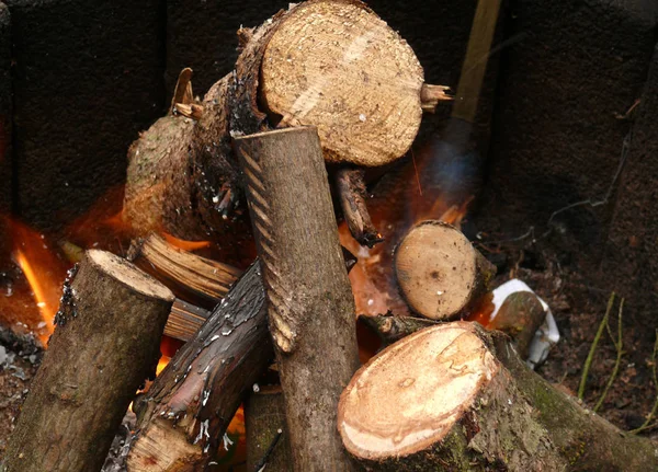 Campfire Burning Fire Flame — Stock Photo, Image