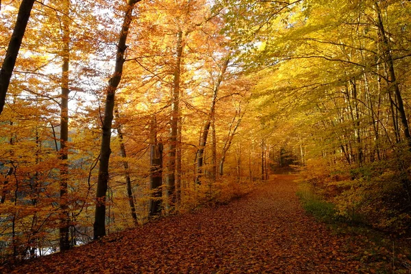 Automne Dans Nord Steigerwald Basse Franconie Bavière Allemagne — Photo