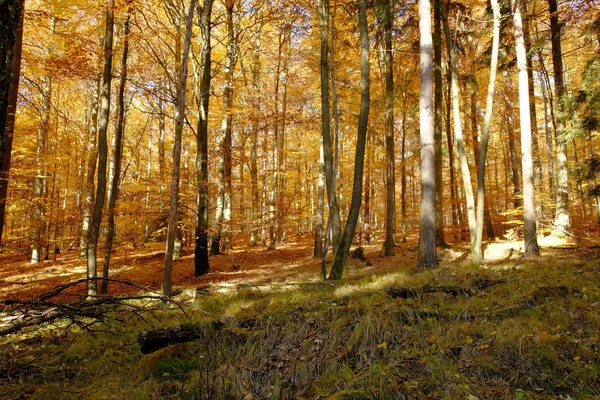 Herfst Het Noorden Van Steigerwald Neder Franken Beieren Duitsland — Stockfoto