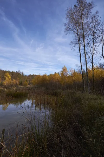 Φθινόπωρο Στο Βόρειο Steigerwald Υπό Franconia Bavaria Γερμανία — Φωτογραφία Αρχείου