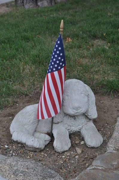 Usa Maine Patriotism Dogs Stars Stripes Front Yard — Stock Photo, Image