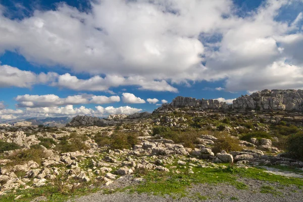 Prachtig Uitzicht Het Natuurlandschap — Stockfoto