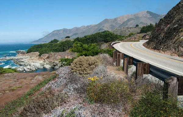 California Highway Kurvor Längs Bergig Strandlinje Mitt Mängd Olika Växter — Stockfoto