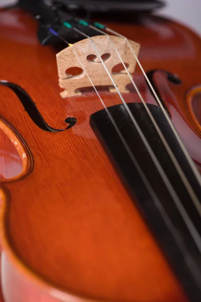 Primer Plano Los Detalles Violín — Foto de Stock