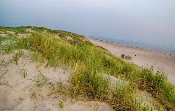 Letnia Plaża Wybrzeżu Morza Północnego Danii — Zdjęcie stockowe