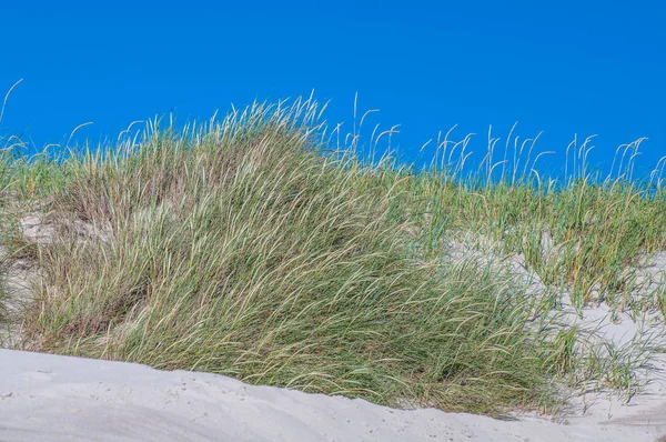 Praia Verão Costa Marítima Norte Denmark — Fotografia de Stock