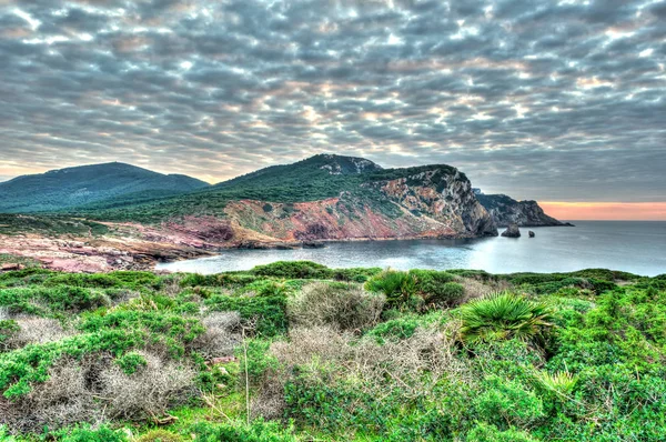 Paisagem Costa Sardenha Com Grama Verde Primeiro Plano Mar Fundo — Fotografia de Stock