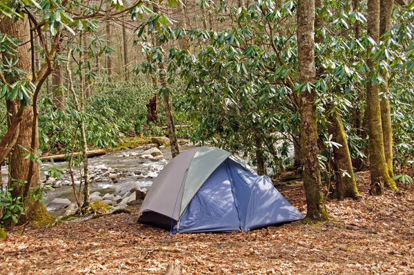 Campingplats Vid Cabin Creek Stora Rökiga Bergen — Stockfoto