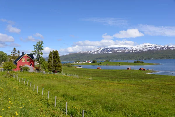 Gisundet Fjord Island Senja — 图库照片