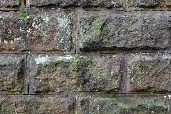 Old Wall Next Forest Cemetery — Stock Photo, Image