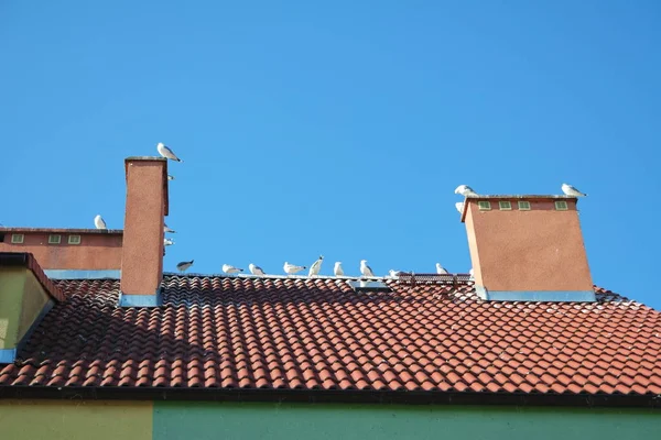 Byggstil Selektivt Fokus — Stockfoto