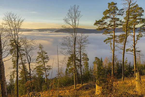 Výhled Moře — Stock fotografie