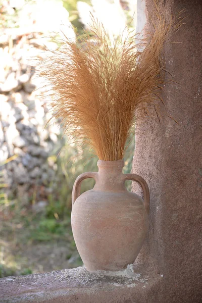 Vase Gräser Gras Blumenvase Ziergras Fenster Gegenlicht Malerisch Amphore Malerisch — Stockfoto