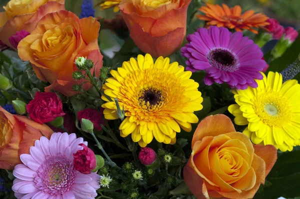 Bouquets Flowers Strauss Colorful — Stock Photo, Image