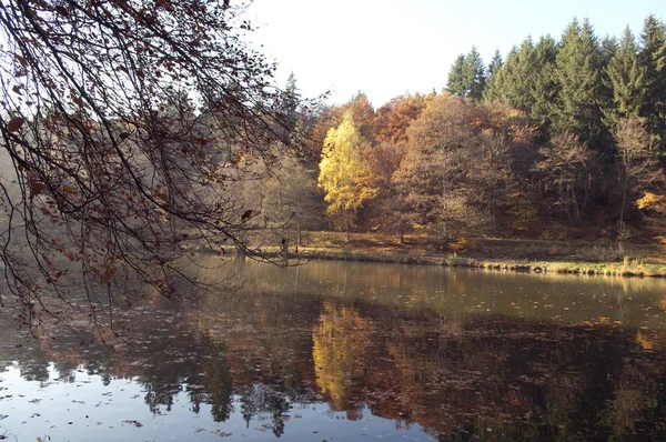 色とりどりの紅葉が美しい — ストック写真