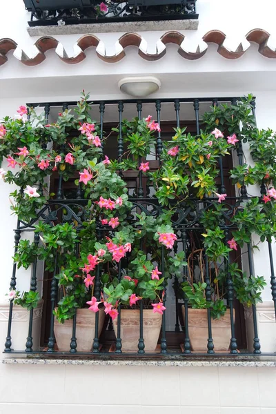 Huis Raam Andalusie — Stockfoto