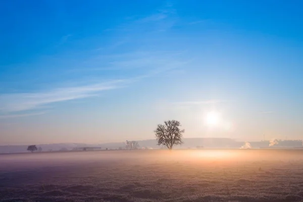 Ground Fog Winter Low Sun — Stock Photo, Image