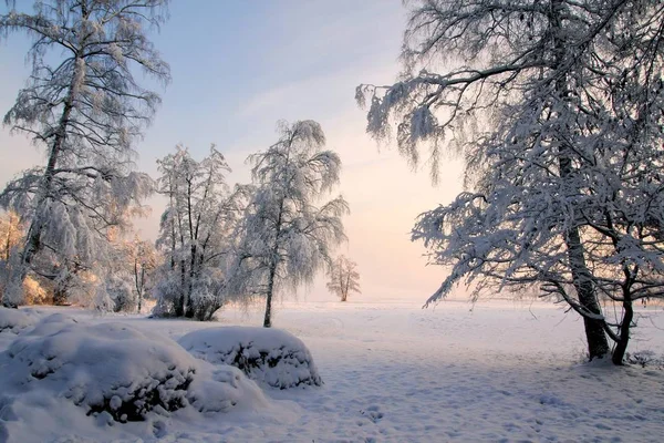 Utsikt Över Vinterscen — Stockfoto