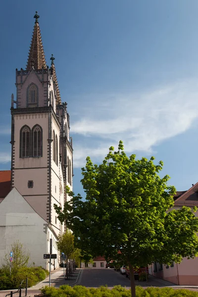 Aegidien Church Oschatz — Foto de Stock