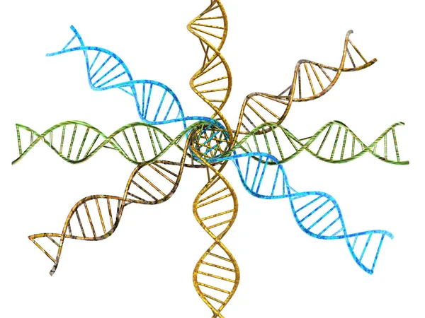 Ген Хромосома Днк Клітини — стокове фото