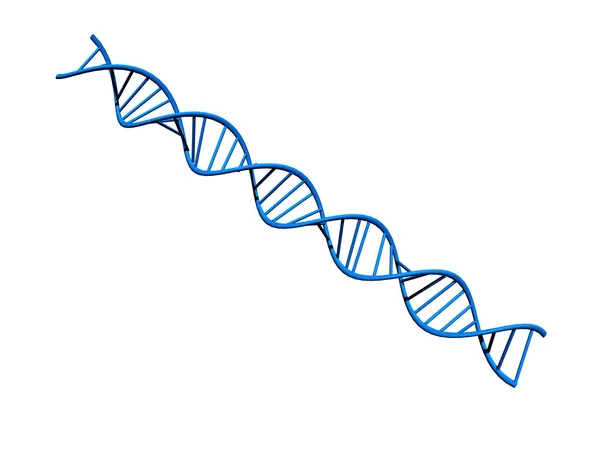 Gen Chromosomen Und Dna Zellen — Stockfoto