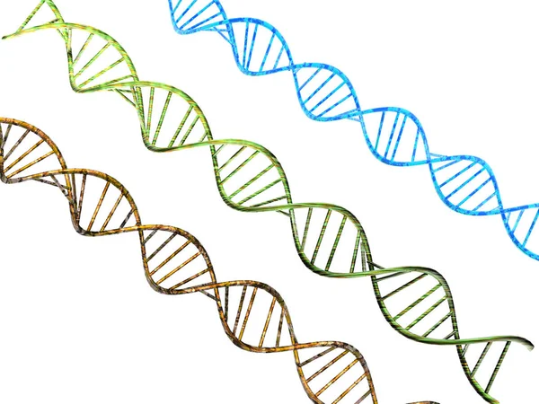 Genetik Gene Chromosomen Und Dna Zellen — Stockfoto