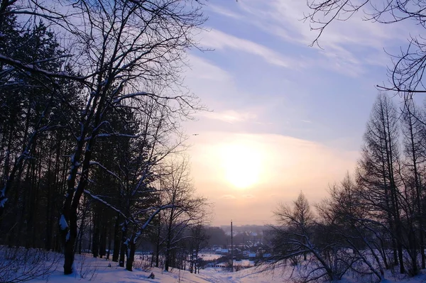 Noite Paisagem Inverno Pôr Sol — Fotografia de Stock