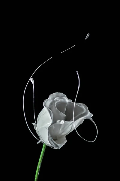 Трояндова Сплеск Рідким Кольором Обертанням — стокове фото