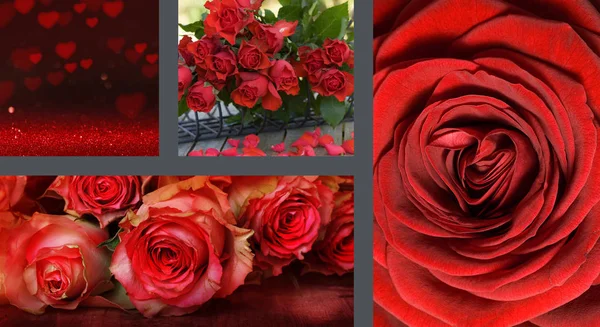 Collage San Valentín Con Rosas Corazones —  Fotos de Stock