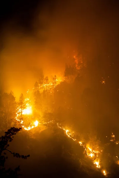 Feuer Der Nacht Flammenbrand — Stockfoto