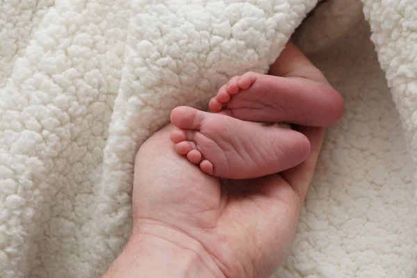 Bebek Sevecen Ellerde Kusur Buldu — Stok fotoğraf