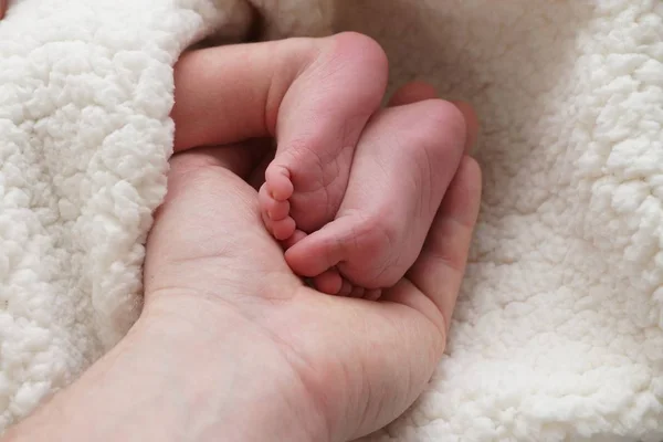 Pés Bebê Recém Nascidos Uma Mão — Fotografia de Stock