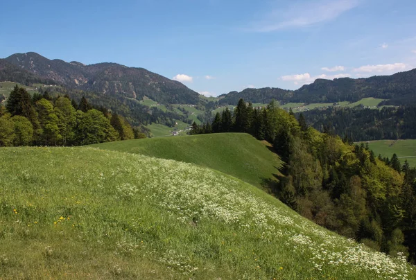 Rond Achensee Oostenrijk Het Karwendelgebergte — Stockfoto