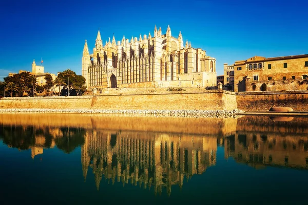 Cathedral Palma Mallorca Palm Trees Water Reflections Blue Sky Seu Stock Photo
