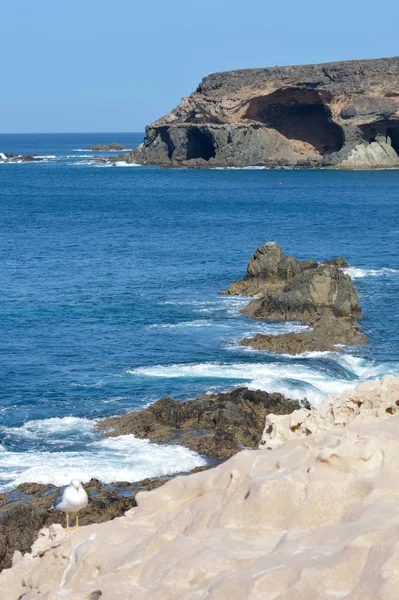 Fuerteventura Costa Costa Oeste Cerca Ajuy —  Fotos de Stock