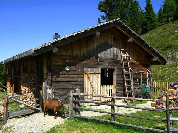 Malerischer Blick Auf Die Majestätische Alpenlandschaft — Stockfoto