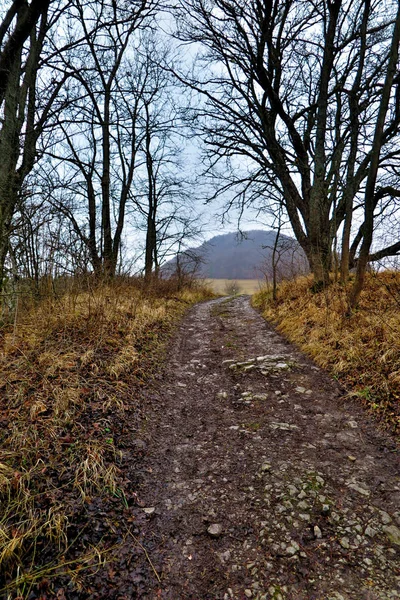 Vacker Utsikt Över Naturen Landskap — Stockfoto