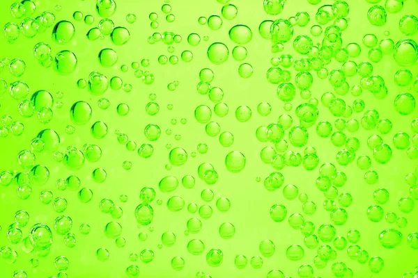 in carbonated water to form numerous gas bubbles.